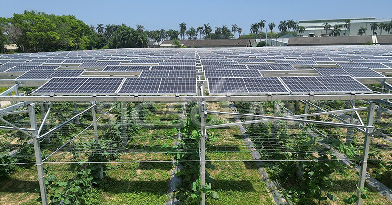 Erkundung der idealen Größe eines Solarparks: die neueste Perspektive im Jahr 2024